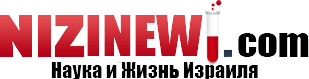 images/nizinew_com.png