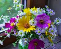 pozdr_birthdays_2026_07.jpg