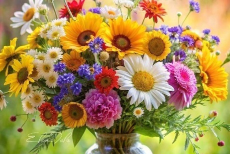 pozdr_birthdays_2026_08.jpg