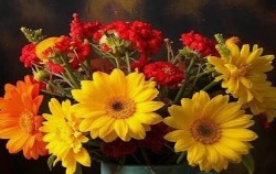 pozdr_birthdays_2026_09.jpg